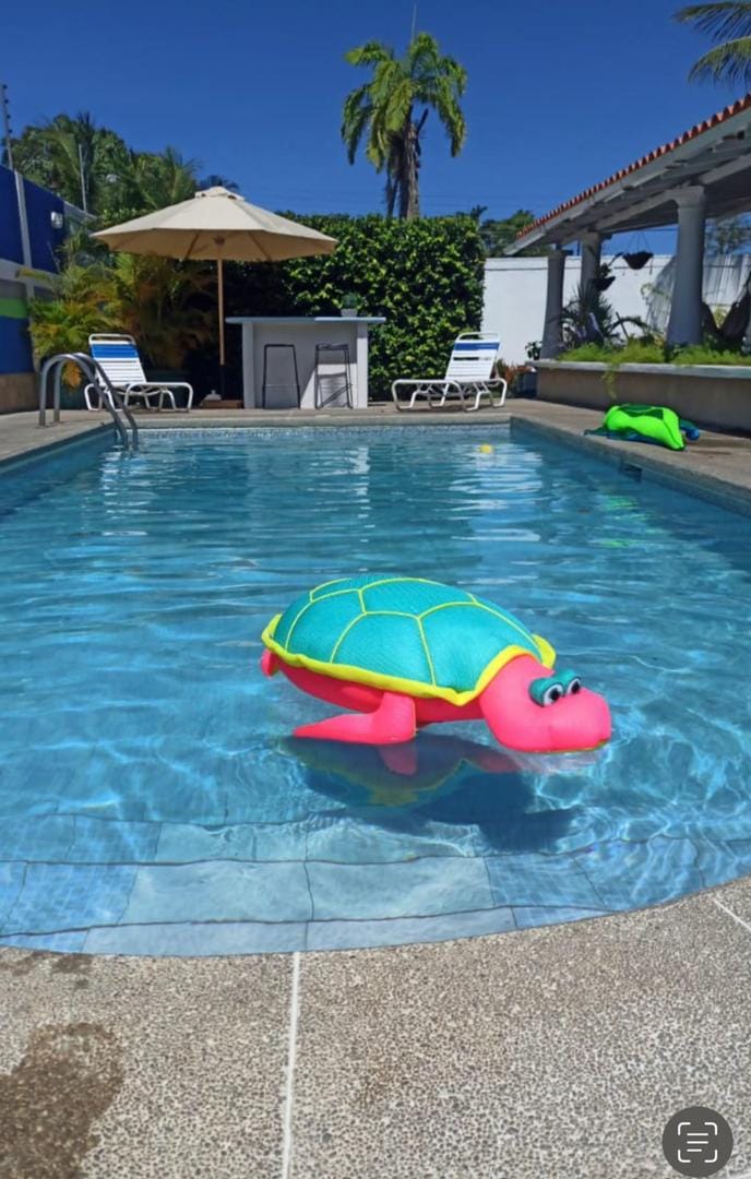 Piscina con inflable de tortuga y zona de descanso